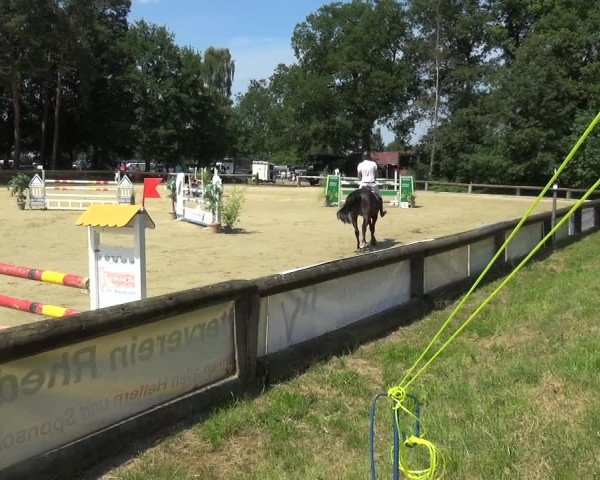 Reitturnier Rhede 2021
