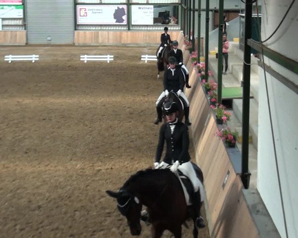 Reitturnier Rhede 2021