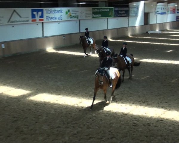 Reitturnier Rhede 2021