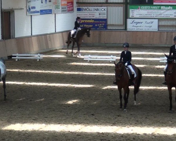 Reitturnier Rhede 2021