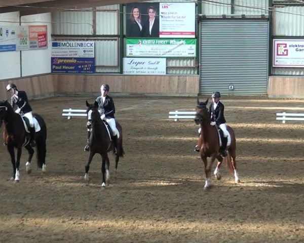 Reitturnier Rhede 2021