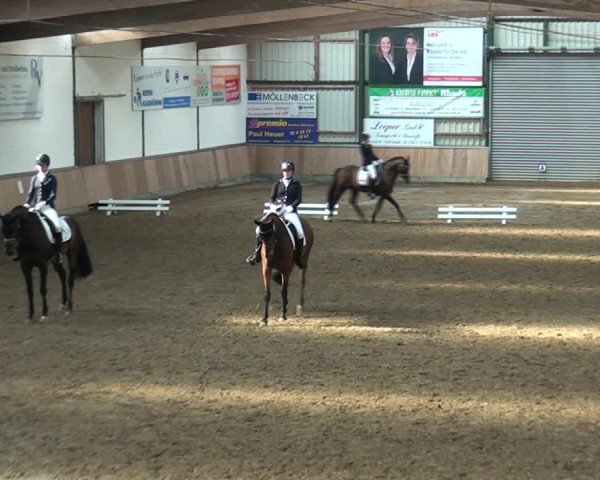 Reitturnier Rhede 2021