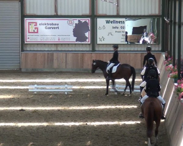 Reitturnier Rhede 2021