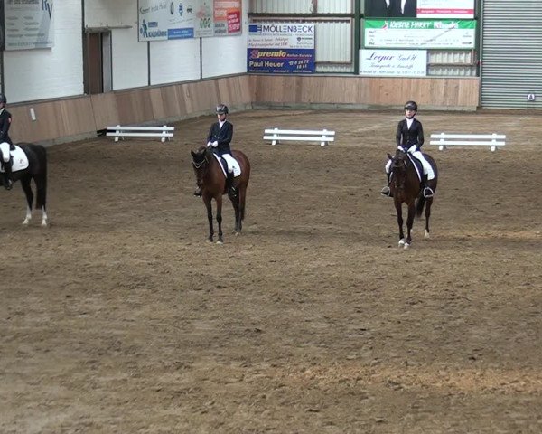 Reitturnier Rhede 2021