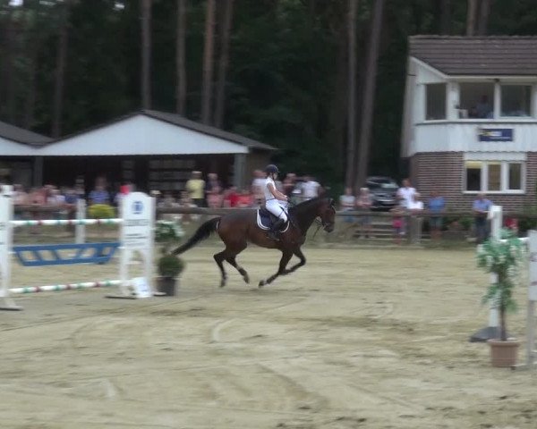 Reitturnier Rhede 2021