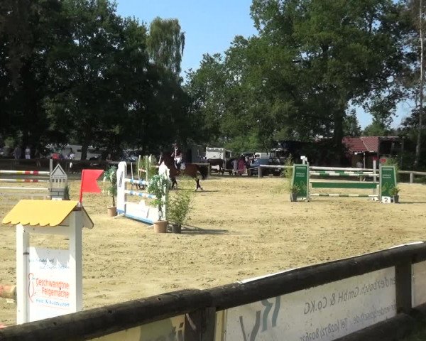 Reitturnier Rhede 2021