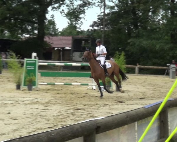 Reitturnier Rhede 2021