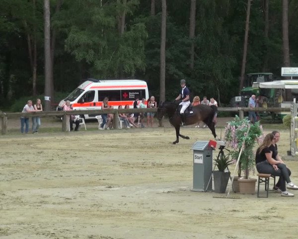 Reitturnier Rhede 2021