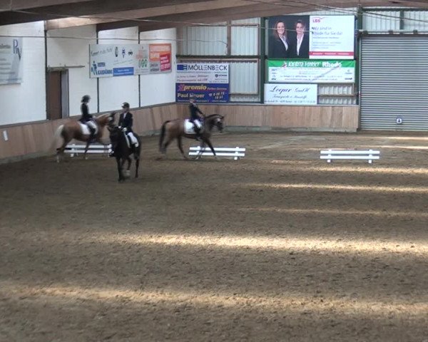 Reitturnier Rhede 2021