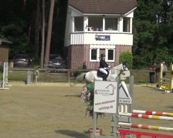 Reitturnier Rhede 2021