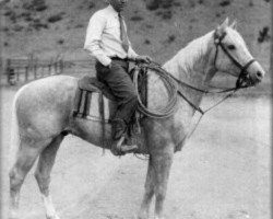 stallion Plaudit (Quarter Horse,  , from King Plaudit xx)