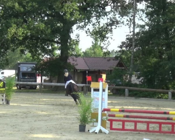 Reitturnier Rhede 2021