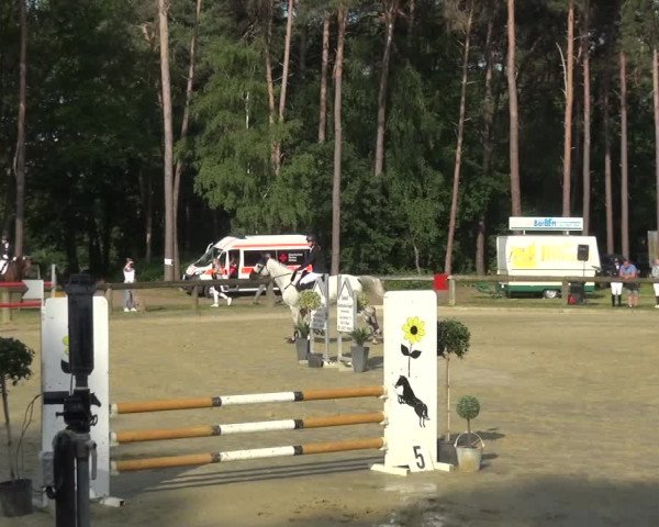 Reitturnier Rhede 2021
