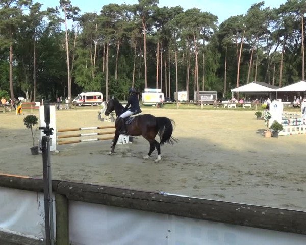 Reitturnier Rhede 2021