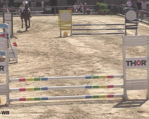 Reitturnier Uder, Reitanlage Kobold 2021