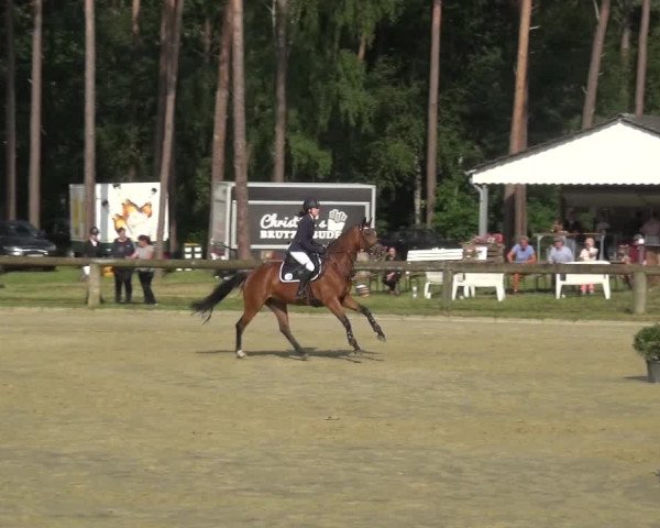 Reitturnier Rhede 2021