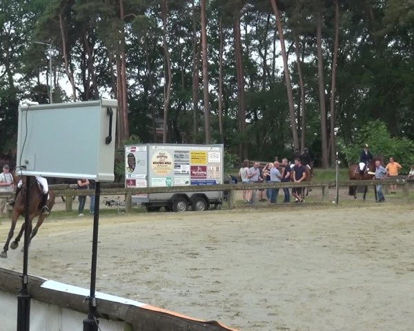 Reitturnier Rhede 2021