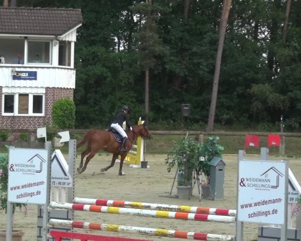 Reitturnier Rhede 2021