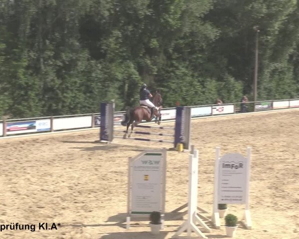 Reitturnier Uder, Reitanlage Kobold 2021