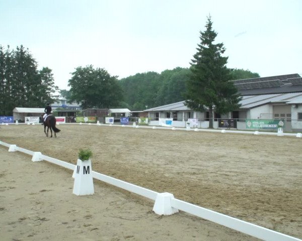 Reitturnier Bad Marienberg - OT Nisterau 2021