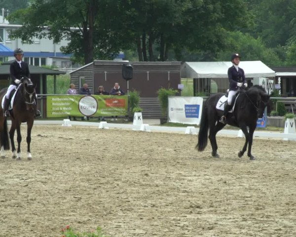 Reitturnier Bad Marienberg - OT Nisterau 2021