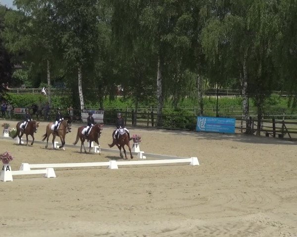 Reitturnier Schwerte-Gut Kückshausen 2021