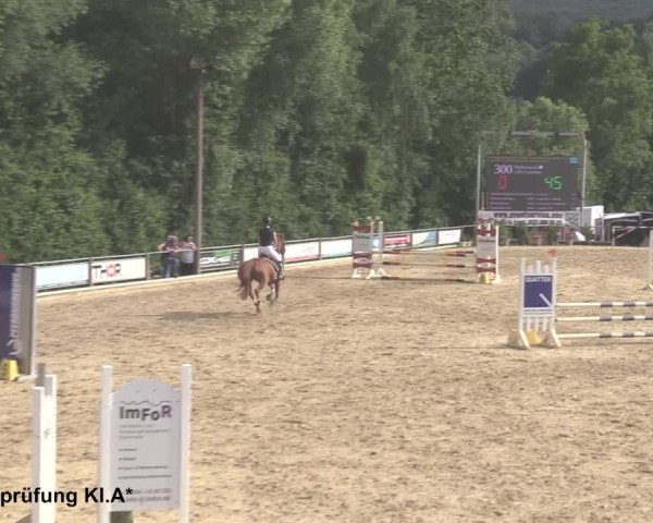 Reitturnier Uder, Reitanlage Kobold 2021