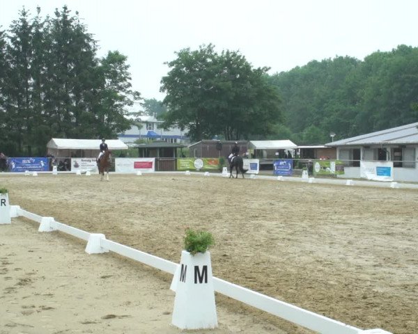 Reitturnier Bad Marienberg - OT Nisterau 2021
