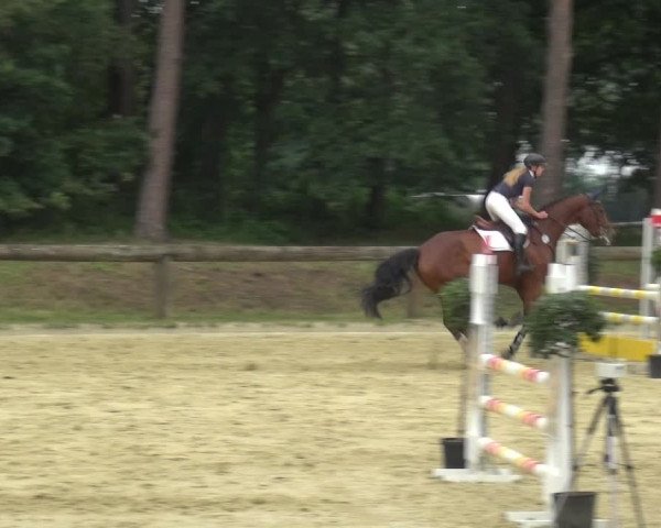 Reitturnier Rhede 2021