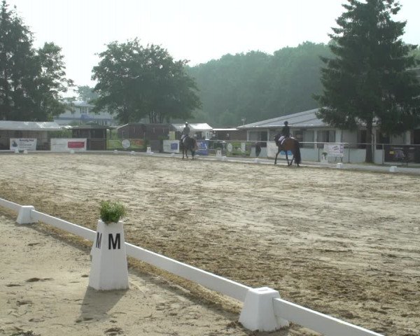 Reitturnier Bad Marienberg - OT Nisterau 2021
