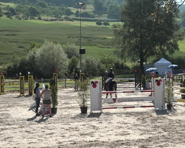 Reitturnier Rothenfluh 2021