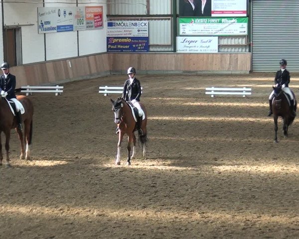 Reitturnier Rhede 2021