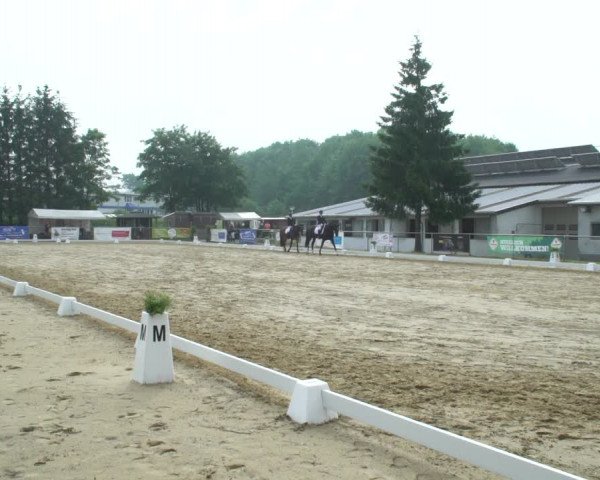 Reitturnier Bad Marienberg - OT Nisterau 2021
