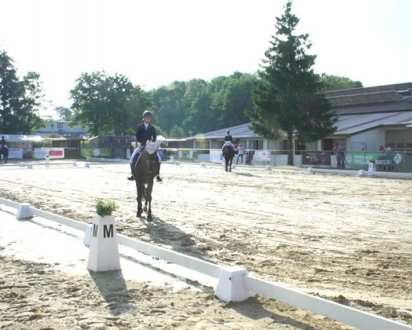 Reitturnier Bad Marienberg - OT Nisterau 2021