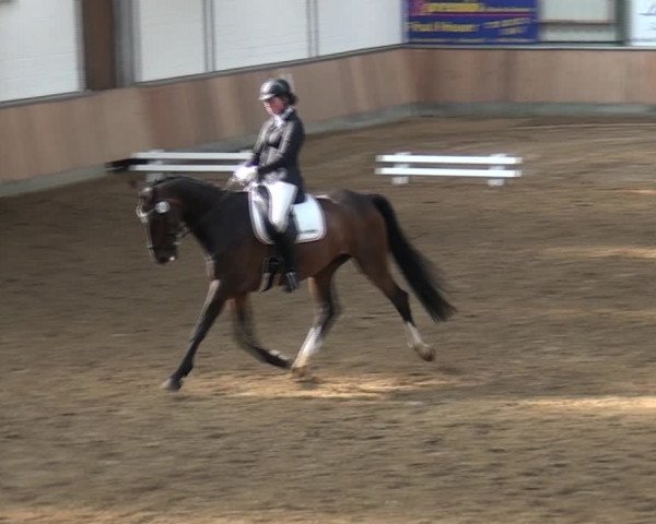 Reitturnier Rhede 2021