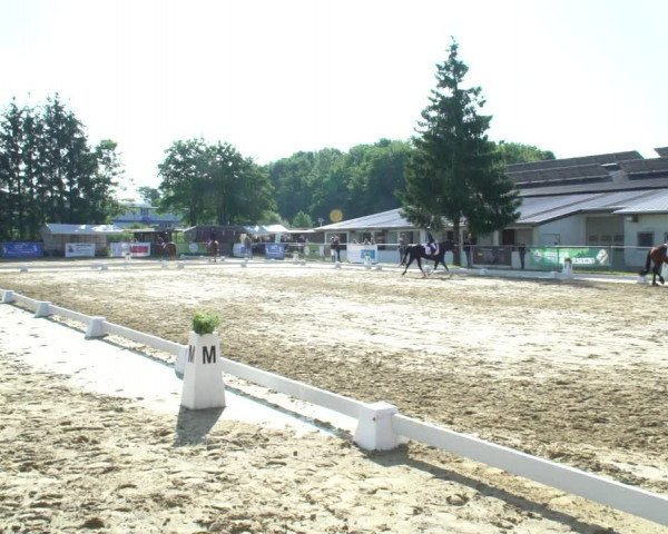 Reitturnier Bad Marienberg - OT Nisterau 2021