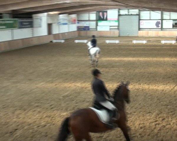 Reitturnier Rhede 2021