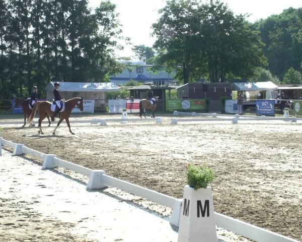 Reitturnier Bad Marienberg - OT Nisterau 2021