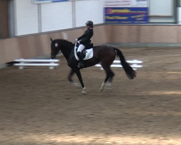 Reitturnier Rhede 2021