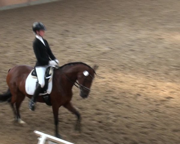 Reitturnier Rhede 2021