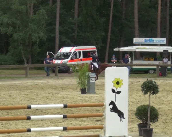 Reitturnier Rhede 2021