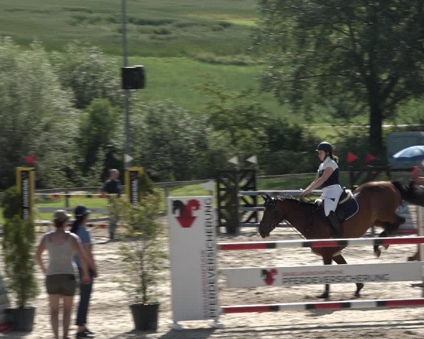 Reitturnier Rothenfluh 2021