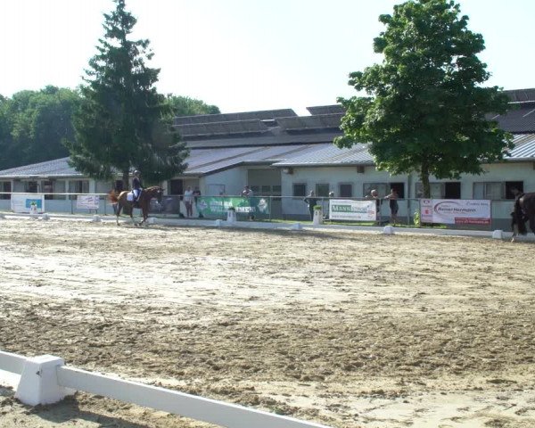 Reitturnier Bad Marienberg - OT Nisterau 2021