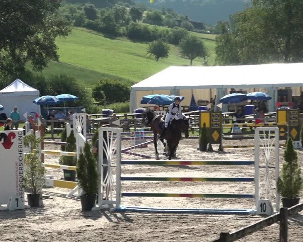 Reitturnier Rothenfluh 2021