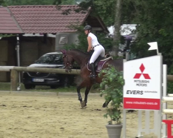 Reitturnier Rhede 2021