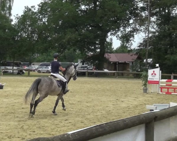 Reitturnier Rhede 2021