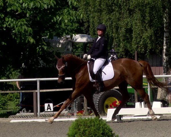 Reitturnier Jettingen 2021