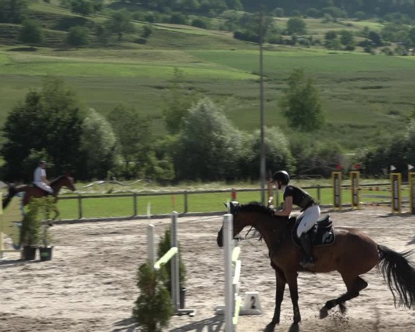 Reitturnier Rothenfluh 2021