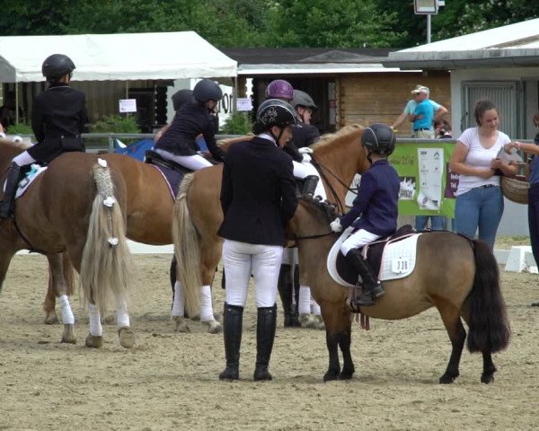 Reitturnier Bad Marienberg - OT Nisterau 2021