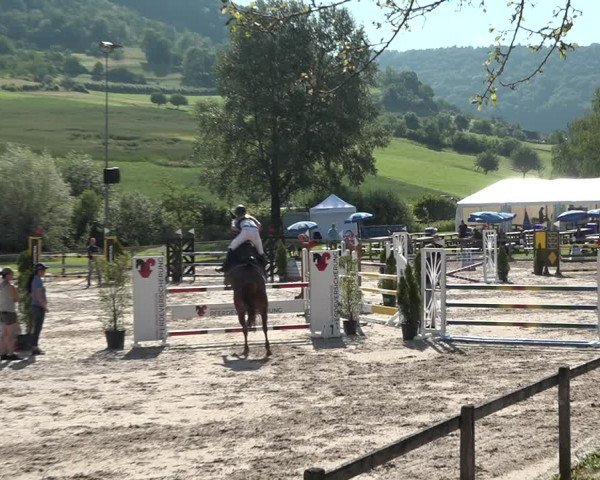 Reitturnier Rothenfluh 2021
